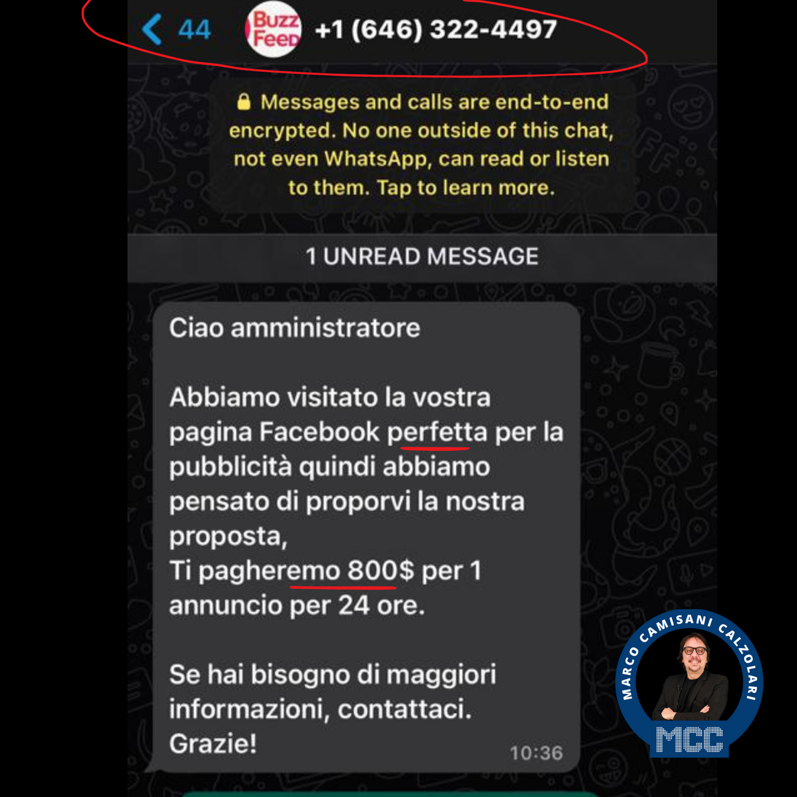 Attenzione a questo WhatsApp truffa 1 Attenzione a questo whatsapp truffa 1